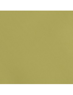 Imperial Femme Jupe longue en satin Olio Imperial Femme Jupe longue en satin Olio