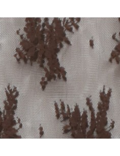 Imperial Femme Brassière Dentelle Chocolat Imperial Femme Brassière Dentelle Chocolat