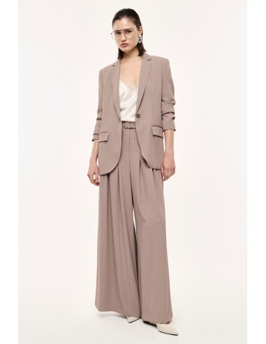 Pantalon Palazzo à Pinces en Crêpe Rayé – Imperial