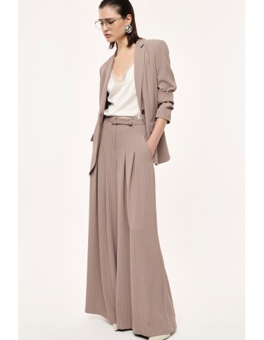 Pantalon Palazzo à Pinces en Crêpe Rayé – Imperial