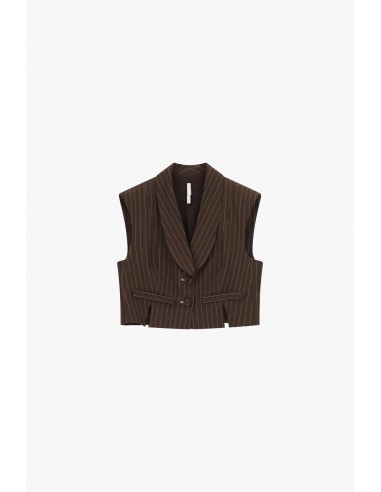 Gilet court raye marron col chale Imperial Femme
